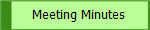 Meeting Minutes